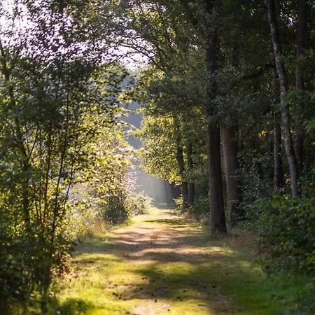 Glamping Safaritent 4 Vessem