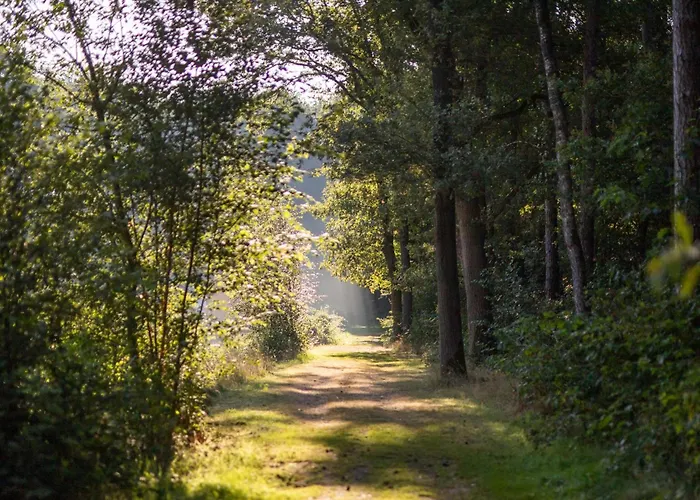 Glamping Safaritent 4 Vessem